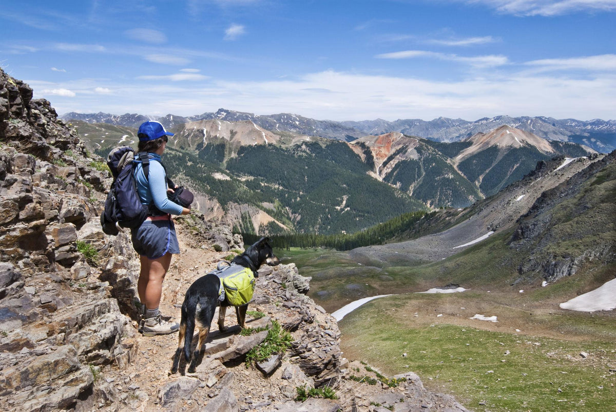 Hiking With Your Dog in the Colorado Rocky Mountains: A Dog-Friendly Adventure Guide
