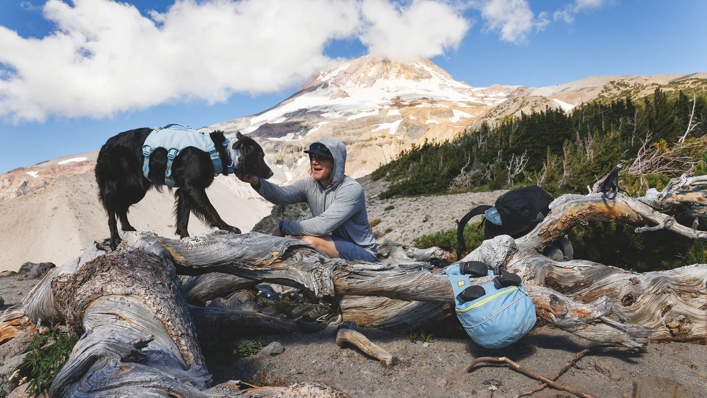 Dog Backpacking Gear