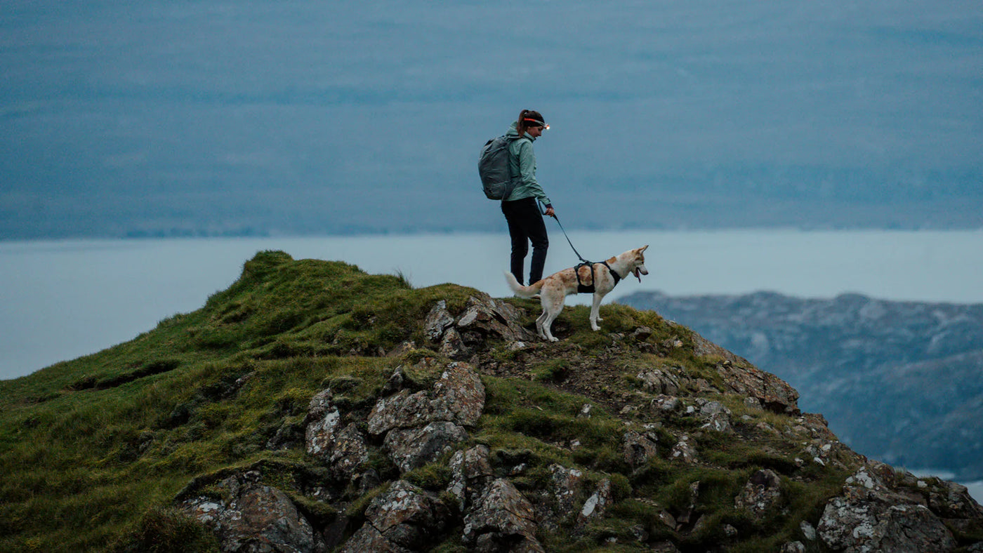 Dog Hiking Gear
