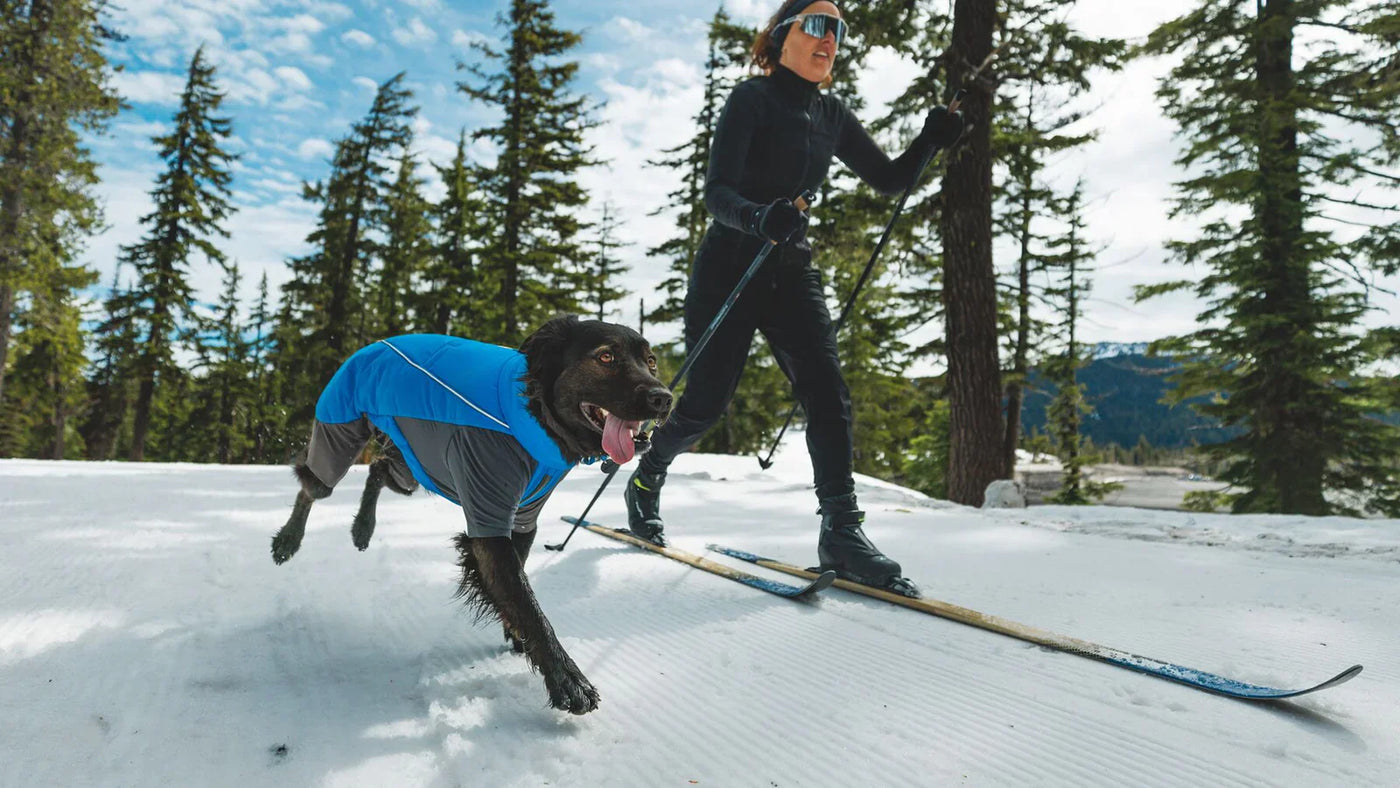 Dog Ski Gear