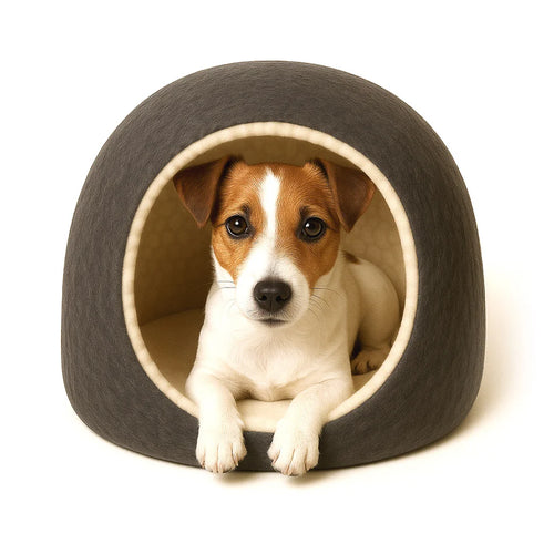 Pawtropolis Deluxe Felt Pet Bed