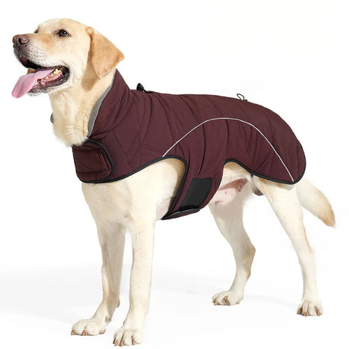 Winter Dog Jacket – Waterproof, Reflective, Leash-Ready