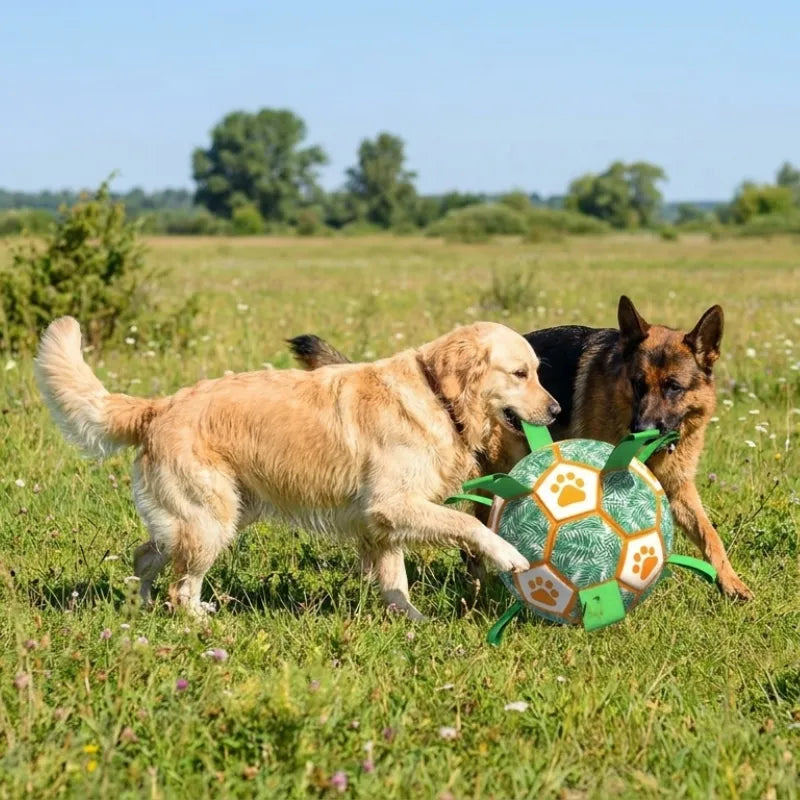 Soccer Fetch Toy with Strap – Interactive, Durable
