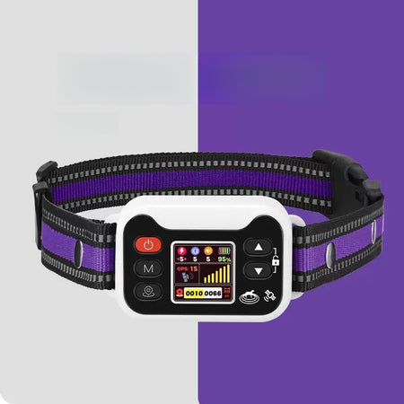 6c500877-dc7c-4120-826a-8dc2cf990d0e